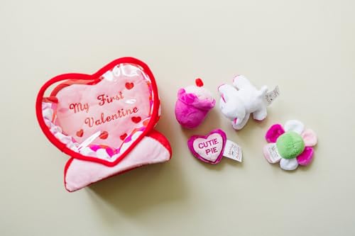 Valentines Day Baby Toy Set for Newborns and Toddlers