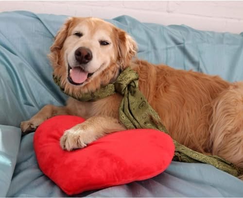 Cute Plush Heart Pillow Cushion Toy Throw