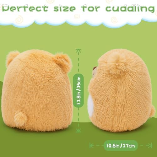 MaoGoLan 14 Inch Plush Bear Pillow
