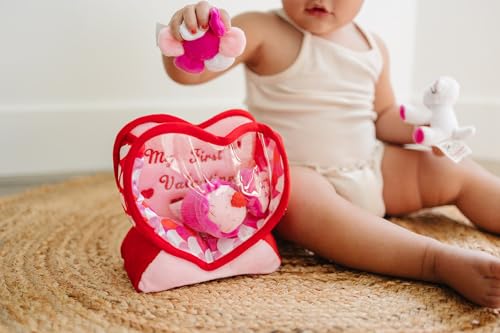 Valentines Day Baby Toy Set for Newborns and Toddlers