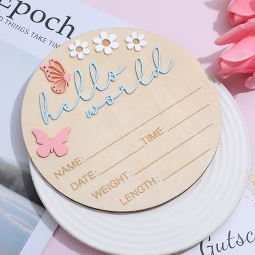 Hello World Newborn Welcome Sign 1