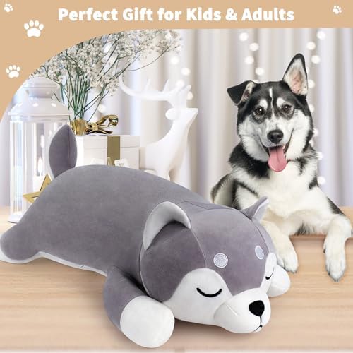 Auspicious Beginning 30 Inch Husky Plush Pillow