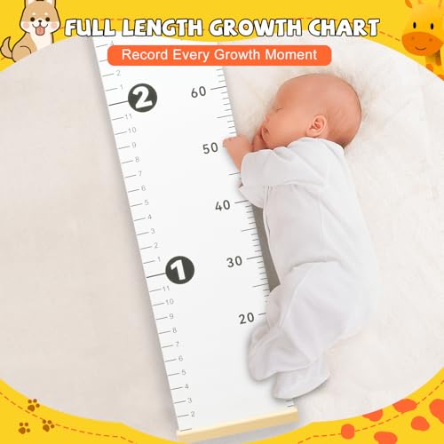 NOYOC Growth Chart for Wall
