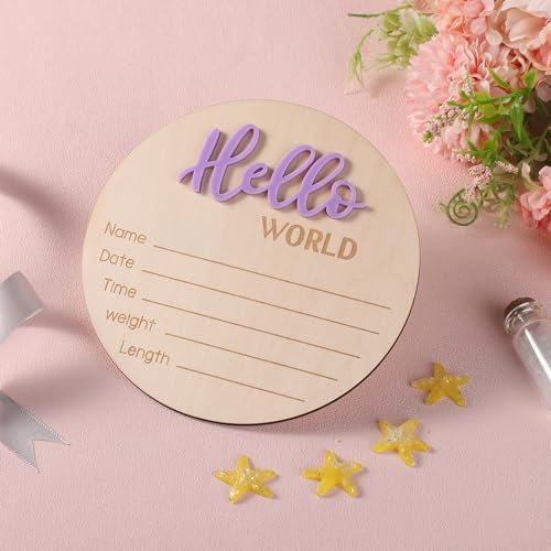 Newborn Hello World Wooden Sign