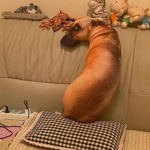 Realistic Dog Plush Pillow for Kids and Dog Lovers