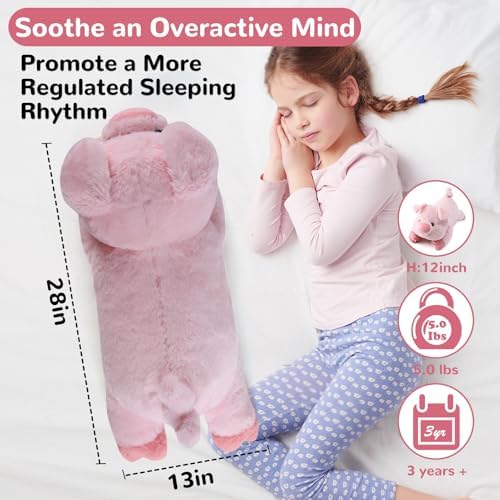 Meowtastic Weighted Plush Pig