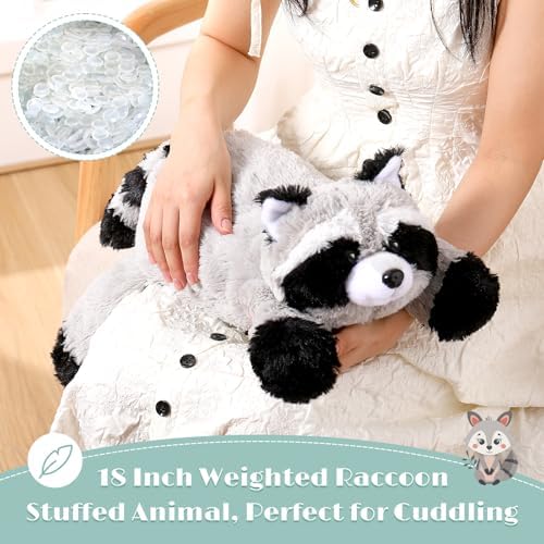 HyDren 18 Inch Raccoon Plush Pillow