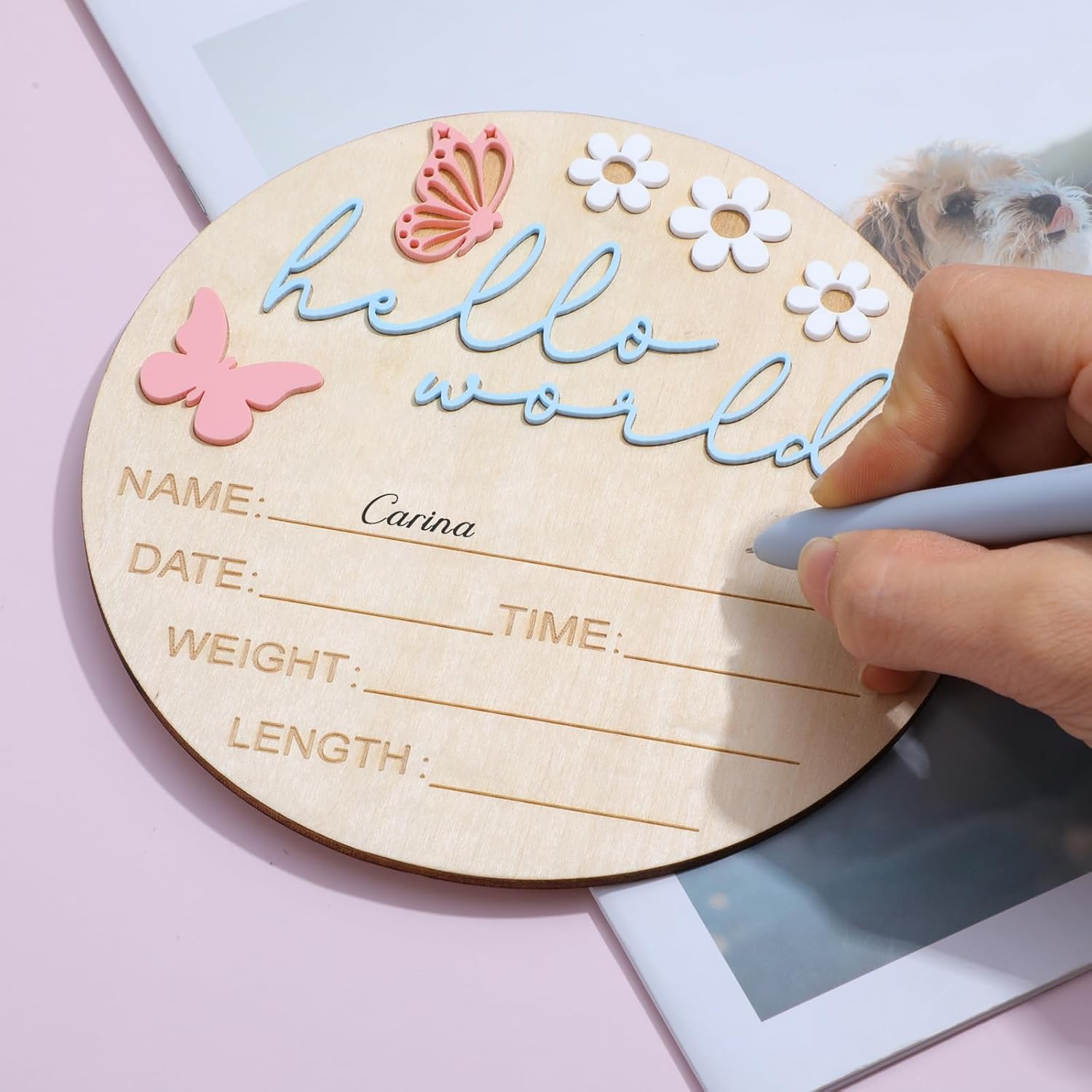 Hello World Newborn Welcome Sign 1