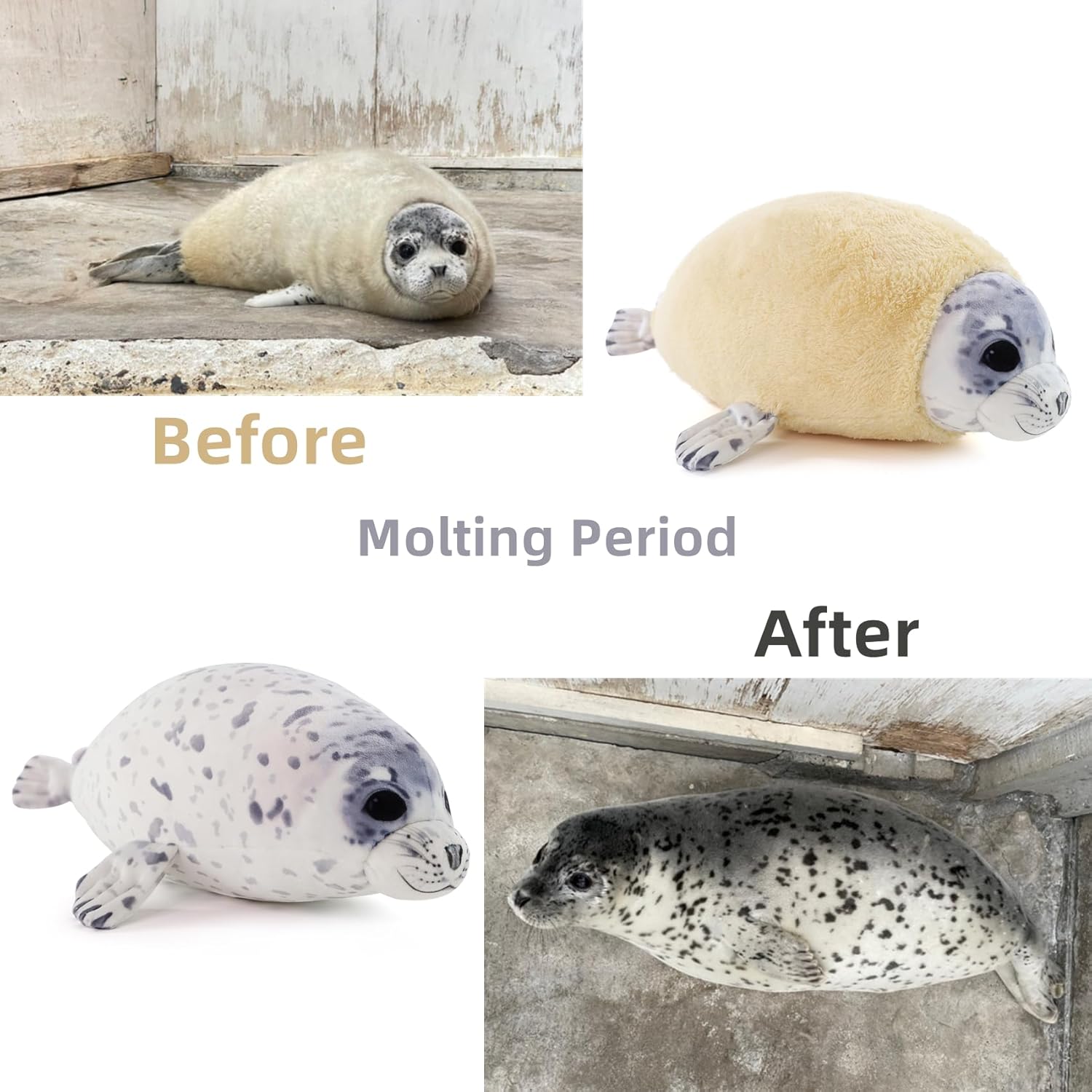 Chubby Blob Young Seal Plush Pillow Toy