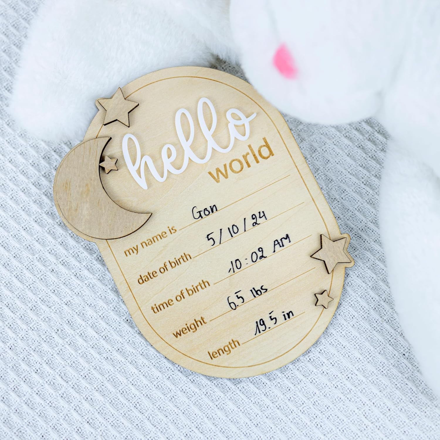 Baby Announcement Sign Hello World